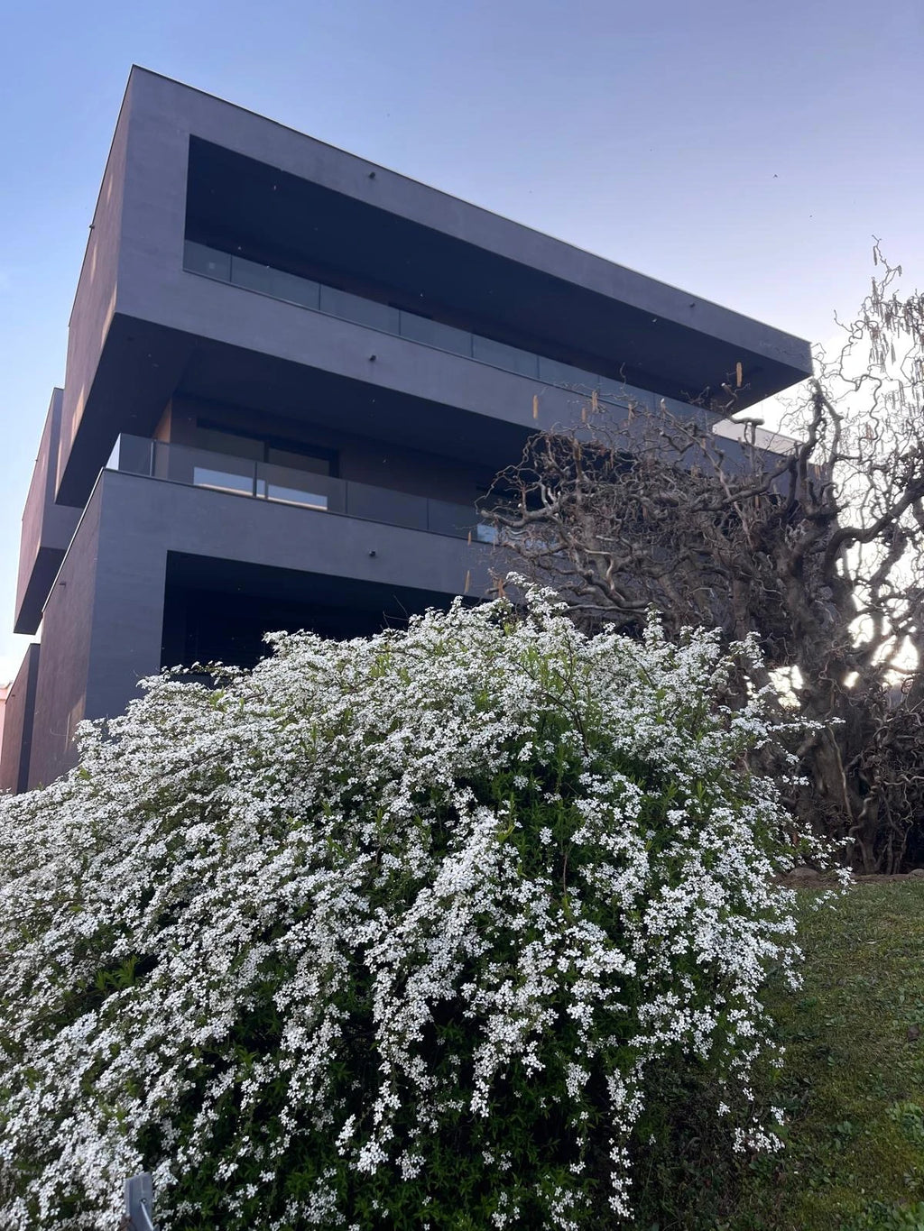 Residenza WRY - Appartamento 4.5